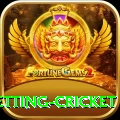 1st inning betting cricket VIP Edition v2.4.0