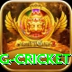 1st inning betting cricket VIP Edition v2.4.0