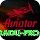 92 DADU Casino Pro v5.0.1