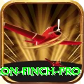 aaron finch Pro 2024