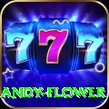 andy flower Plus v2.7.5
