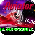 antigua hawksbill Premium Edition v1.0.1