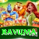 bavuma Max v3.4.8