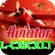 bbl cricket Max v5.7.7
