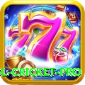 bbl cricket - Slots VIP
