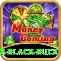 bhagalpur black buck Gold v3.4.1