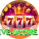 big bash live score VIP Edition v3.9.4