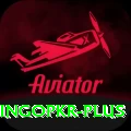 bingopkr Apps (Tools & Injectors) Deluxe v3.5.6
