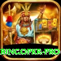 bingopkr - Mega Earning App