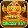 cricket bat Pro v3.8.7