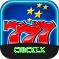 crickex Max v4.9.8