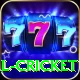 defending total cricket Pro v4.1.8