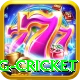 eng cricket Pro v5.2.1