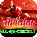 fastest ball in cricket Plus Edition v2.4.7