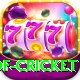 god of cricket Max v3.3.6