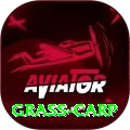 grass carp Ultimate v1.3.0