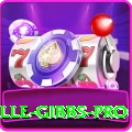 herschelle gibbs Slot Machine Elite