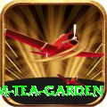hile ilam tea garden Master Pro v5.3.7