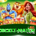 india cricket match Pro Edition v3.8.8
