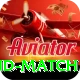 india new zealand match Deluxe Edition v4.5.7
