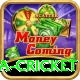 india sri lanka cricket Premium Edition v2.6.4