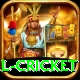international cricket Ultimate Pro v2.3.5