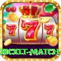 international cricket match Plus v5.9.8
