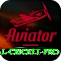international cricket VIP Latest v4.2.0