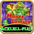 king mackerel - Real Money Elite