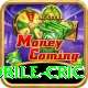 mobile cric App