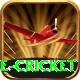 mobile cricket Deluxe Pro v1.8.8