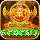 ndtv cricket VIP Edition v2.2.0