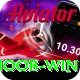 Noob Win Apps (Tools & Injectors) VIP v3.8.2