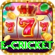 online cricket Plus Pro v5.8.5