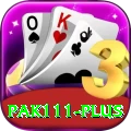 pak111 Pro1 v5.3.0