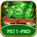 pk11 Premium - Daily Bonus