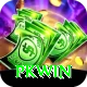 PKWin VIP v5.5.4