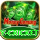 play cricket VIP Edition v2.1.2