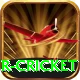 r cricket Premium Plus v1.8.5