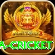 sa cricket Ultimate Pro v3.4.2