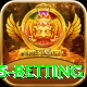 sialkot stalions betting App