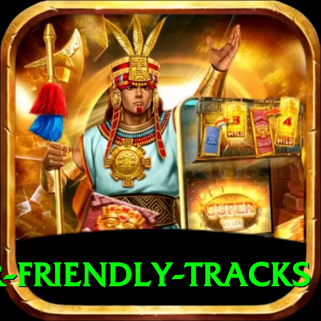 spinner friendly tracks Pro Edition v3.0.4 - 2