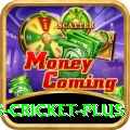 sports cricket Casino Official v1.1.3