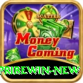 Spribewin Plus Casino App