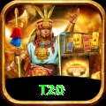 t20 Pro v3.1.9