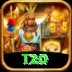 t20 Pro v3.1.9