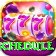 t20 schedule VIP Pro v2.3.4