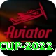 t20 world cup 2022 Max Pro v3.9.9