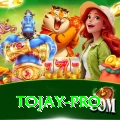 tojay Pro Max v4.1.6