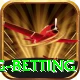 turkey super lig betting Elite Pro v3.8.9